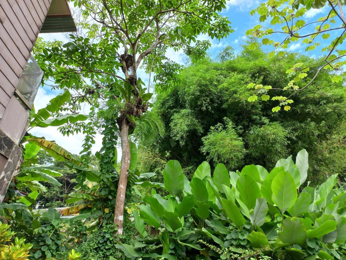 Sunrise House Bed & Breakfast Quepos Exterior photo